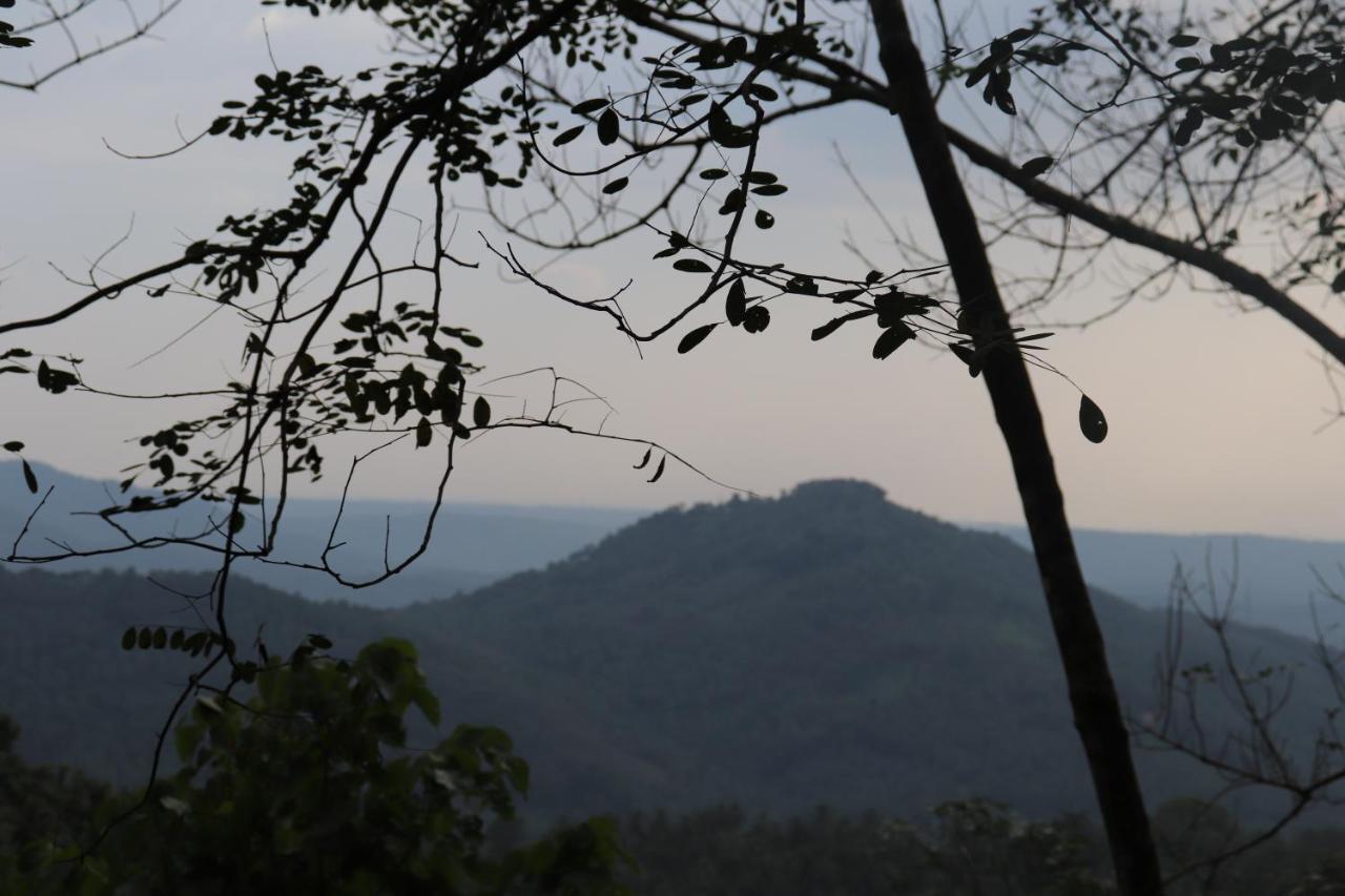 Stone Hills Ξενοδοχείο Kannur Εξωτερικό φωτογραφία